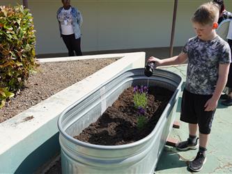 Boy looking at dirt inside planter