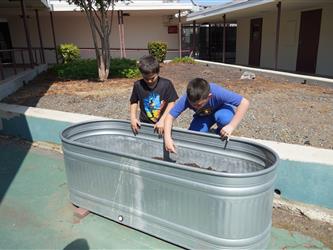 Two boys looking at plants inside planter