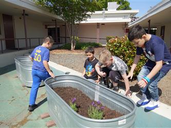 Students looking inside butterfly garden