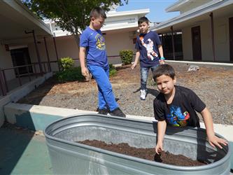 Students looking at plants in the butterfly garden