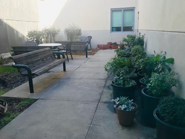 horticulture